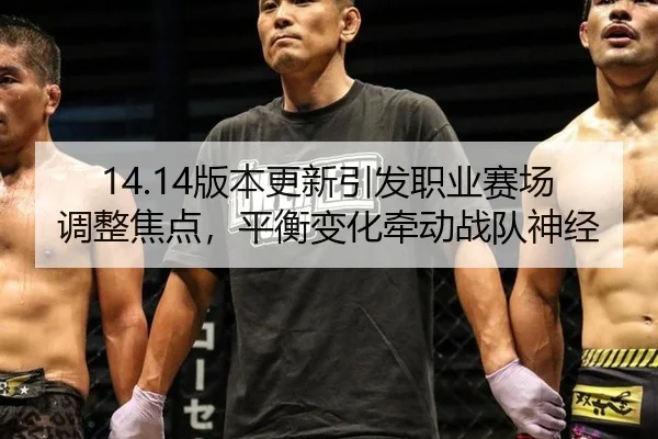 14.14版本更新引发职业赛场调整焦点，平衡变化牵动战队神经